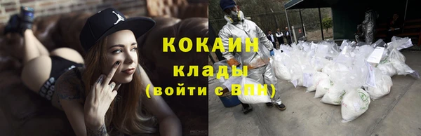 прущий лед Алзамай