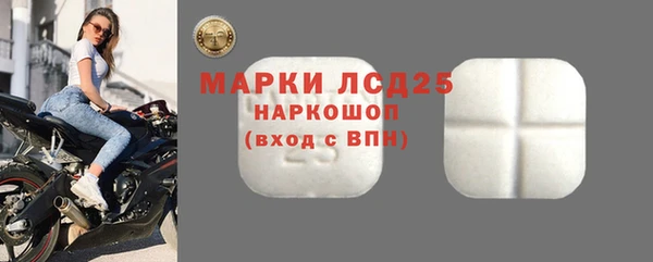 прущий лед Алзамай