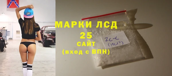 прущий лед Алзамай