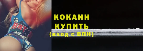 прущий лед Алзамай