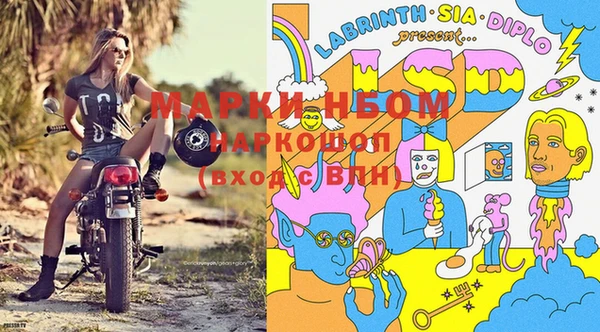 прущий лед Алзамай