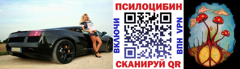 Псилоцибиновые грибы прущие грибы  Харовск 